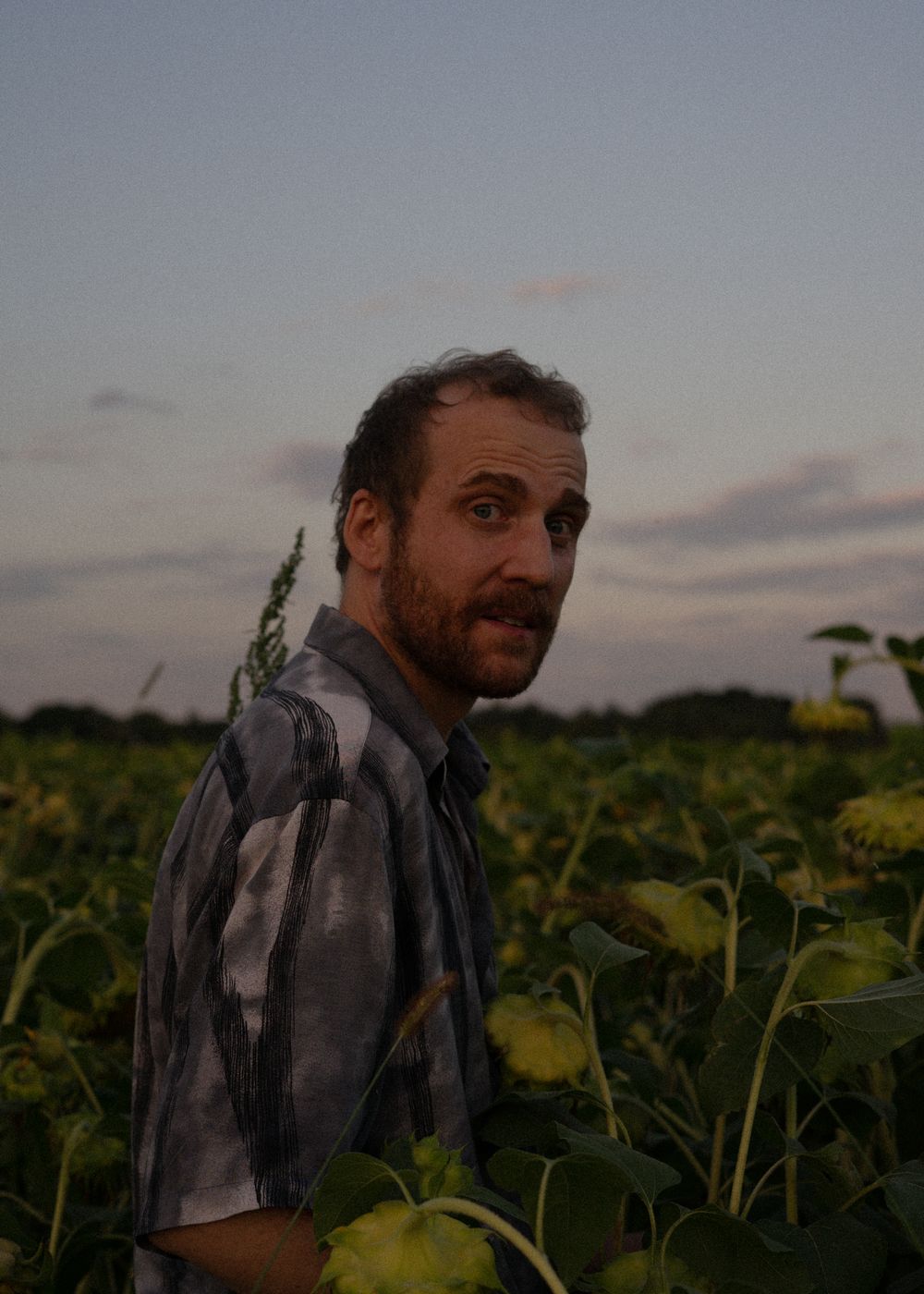 Piotr Kurek in a sunflower field at dusk