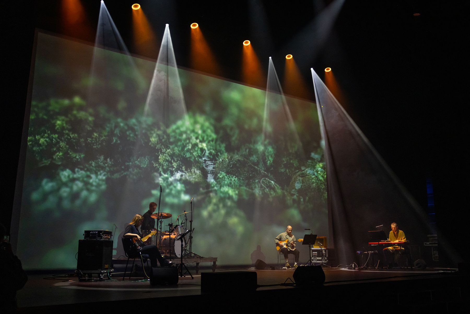 Songs and Bodies live in Kraków, quartet in front of a projected forest